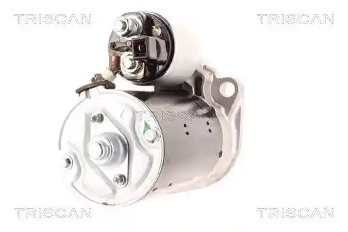 TRISCAN 8305 29076