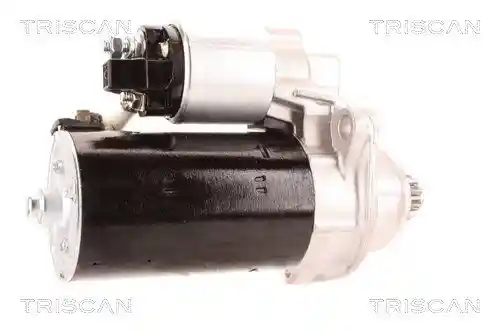 TRISCAN 8305 29076