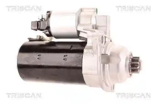 TRISCAN 8305 29076