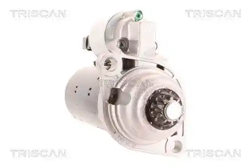 TRISCAN 8305 29076
