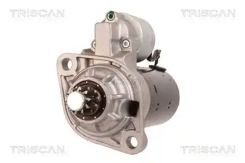 TRISCAN 8305 29079 TRISCAN 8305 29079