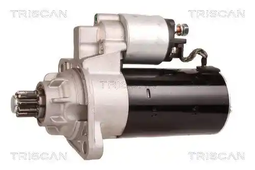 TRISCAN 8305 29079 TRISCAN 8305 29079