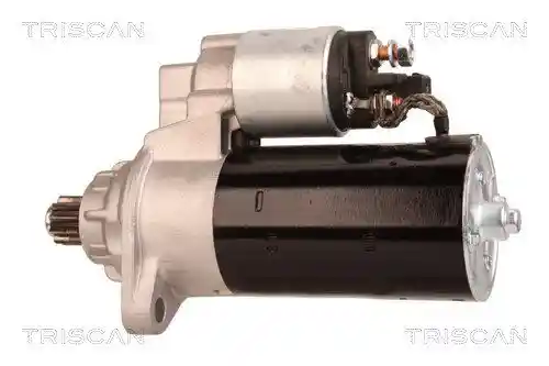 TRISCAN 8305 29079 TRISCAN 8305 29079