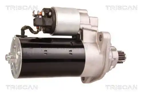 TRISCAN 8305 29079 TRISCAN 8305 29079