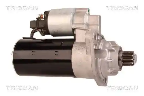 TRISCAN 8305 29079 TRISCAN 8305 29079