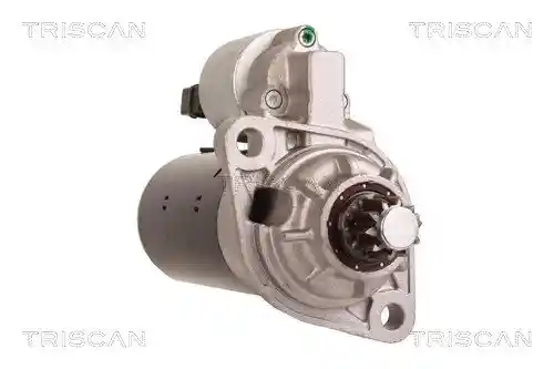 TRISCAN 8305 29079 TRISCAN 8305 29079