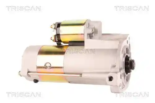 TRISCAN 8305 42008 TRISCAN 8305 42008