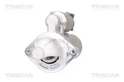 TRISCAN 8305 43001 TRISCAN 8305 43001