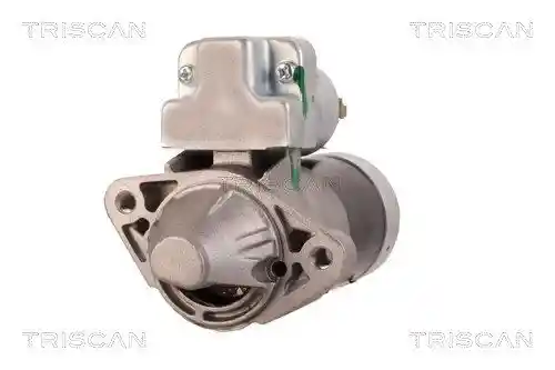 TRISCAN 8305 69001