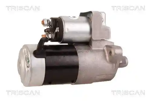 TRISCAN 8305 69001