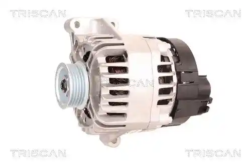 TRISCAN 8310 10001