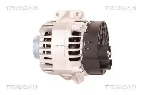 TRISCAN 8310 10001
