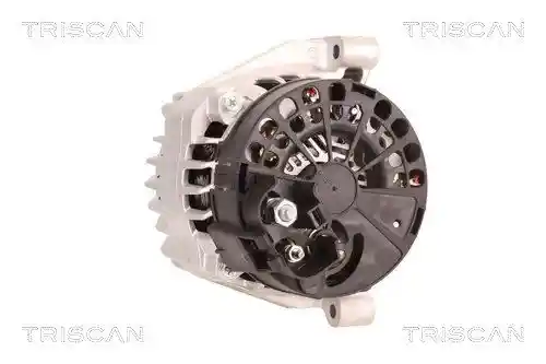 TRISCAN 8310 10001