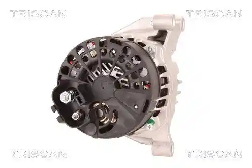 TRISCAN 8310 10001