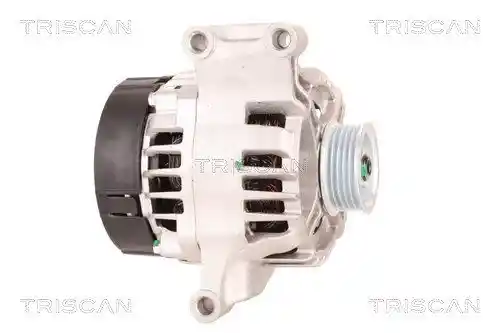 TRISCAN 8310 10001