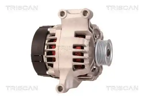 TRISCAN 8310 10003