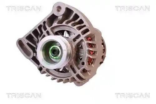 TRISCAN 8310 10006