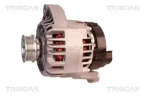 TRISCAN 8310 10006