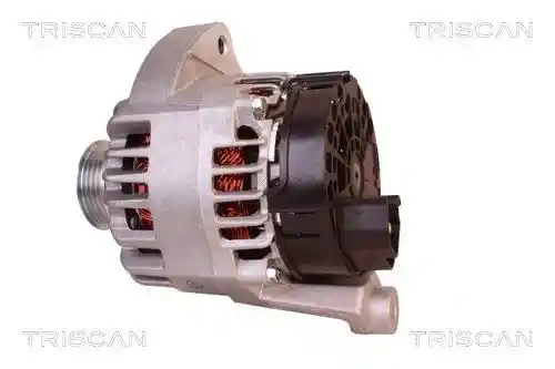 TRISCAN 8310 10006