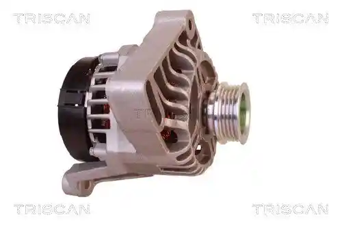 TRISCAN 8310 10006