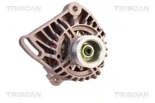 TRISCAN 8310 10006