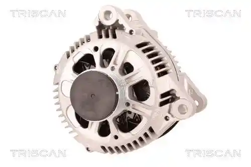 TRISCAN 8310 10011 TRISCAN 8310 10011