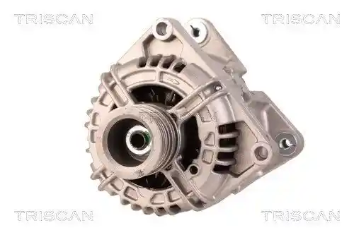 TRISCAN 8310 10021