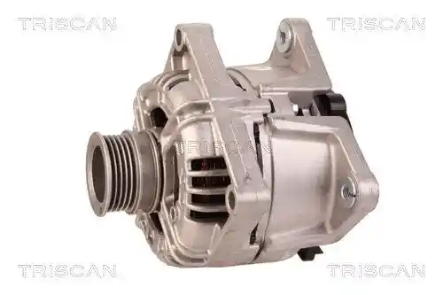 TRISCAN 8310 10021