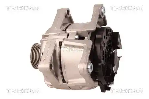 TRISCAN 8310 10021