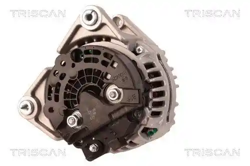 TRISCAN 8310 10021