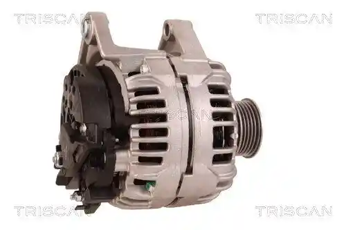 TRISCAN 8310 10021