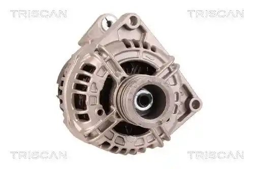 TRISCAN 8310 10021