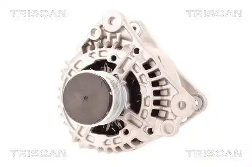 TRISCAN 8310 10026