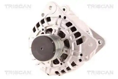 TRISCAN 8310 10027
