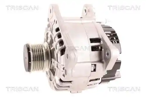 TRISCAN 8310 10027