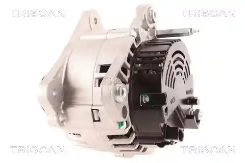 TRISCAN 8310 10027