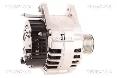 TRISCAN 8310 10027