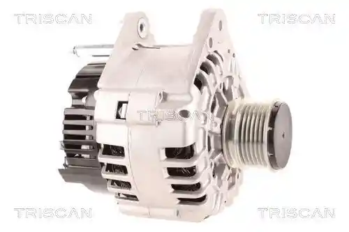 TRISCAN 8310 10027