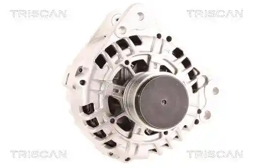 TRISCAN 8310 10027