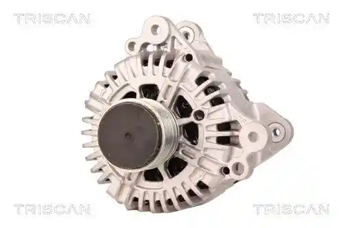 TRISCAN 8310 10031 TRISCAN 8310 10031