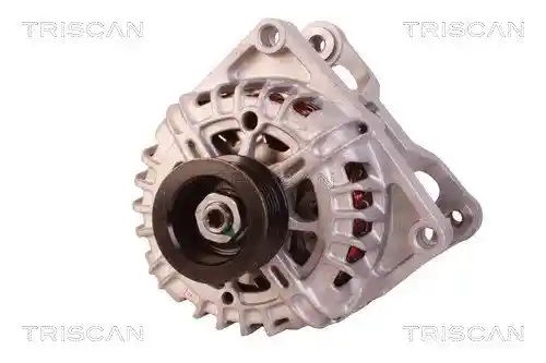 TRISCAN 8310 10047