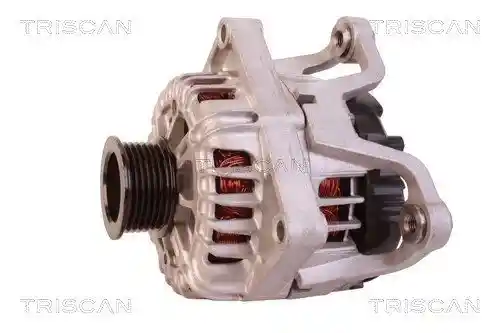 TRISCAN 8310 10047