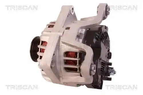 TRISCAN 8310 10047