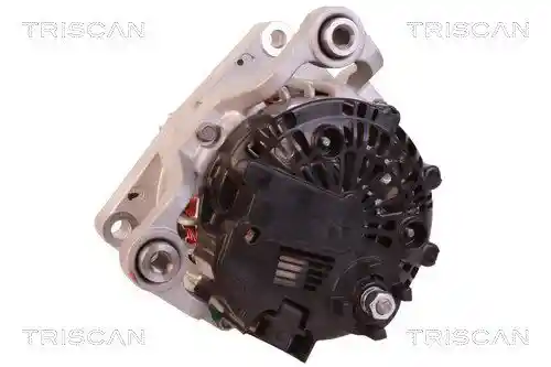 TRISCAN 8310 10047
