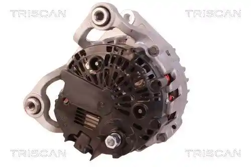 TRISCAN 8310 10047