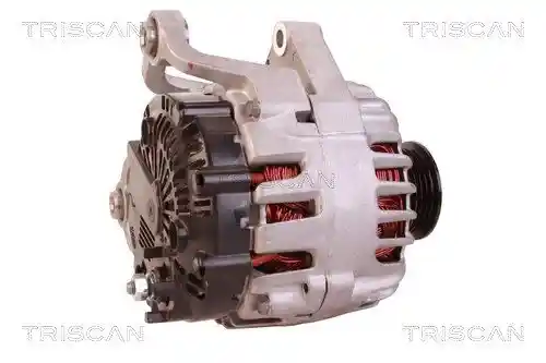 TRISCAN 8310 10047