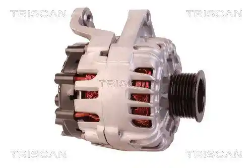 TRISCAN 8310 10047