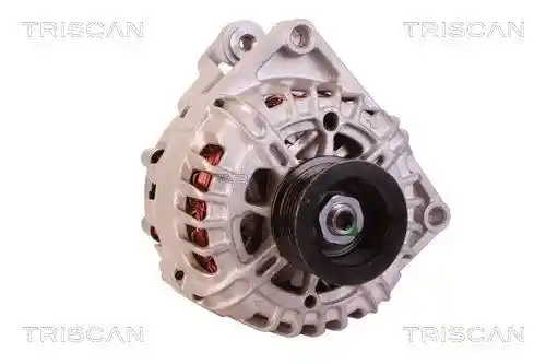 TRISCAN 8310 10047