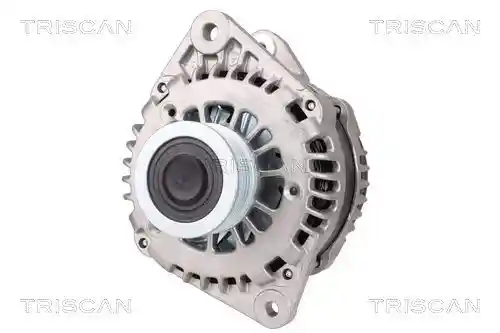TRISCAN 8310 10048 TRISCAN 8310 10048