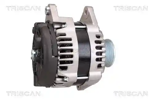 TRISCAN 8310 10048 TRISCAN 8310 10048